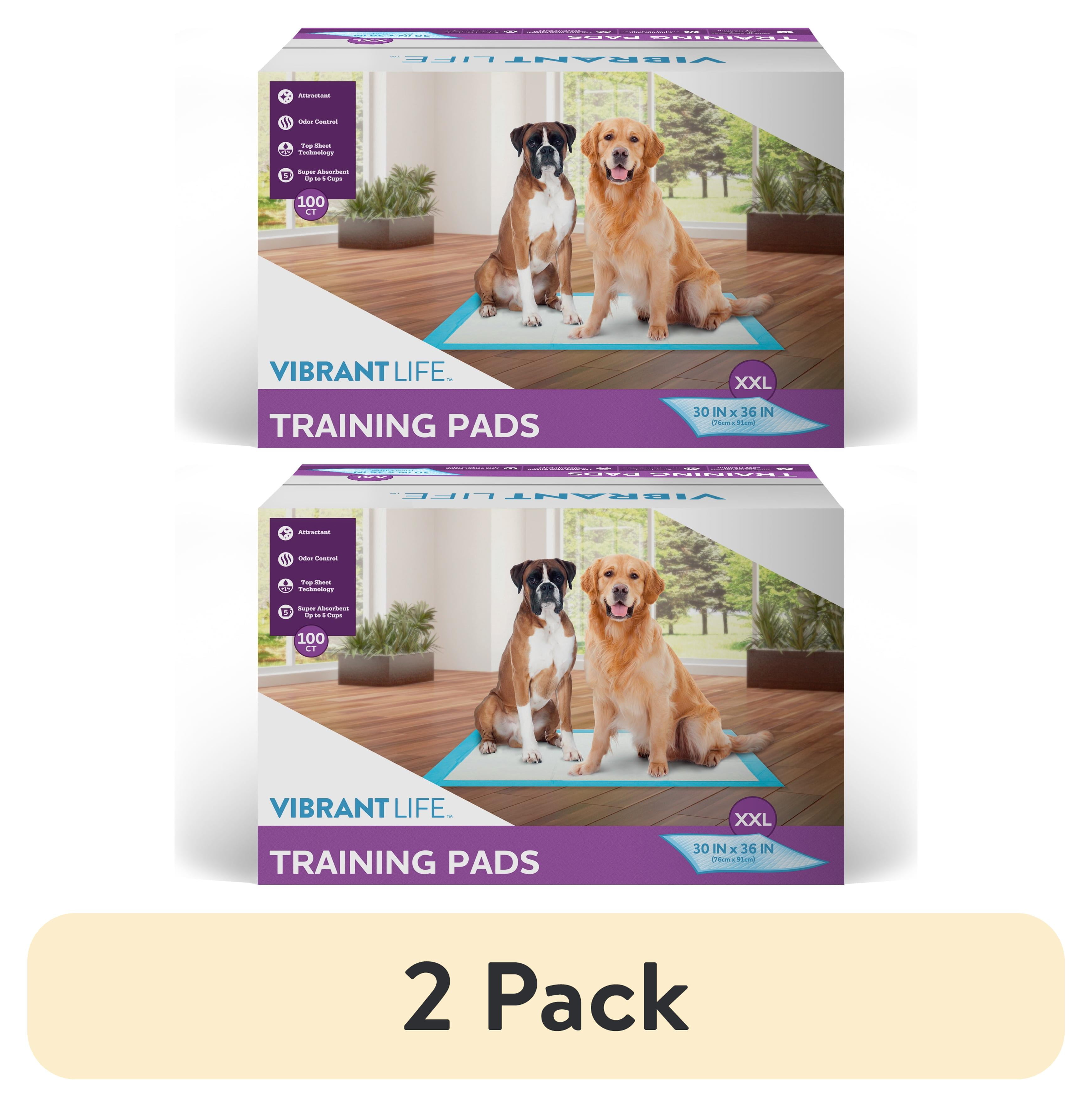 (2 pack) Vibrant Life Training Pads – Super Absorbent, Leak Proof, & Fast Dry Dog and Puppy Pee Pads – XXL 30 in x 36 in, 100 Count