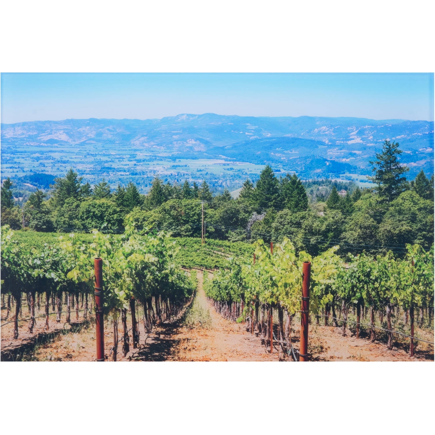 20" x 30" Personalized Acrylic Photo Print