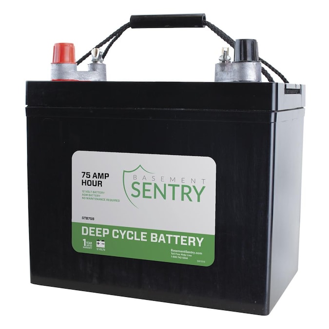 Basement Sentry Thermoplastic Battery