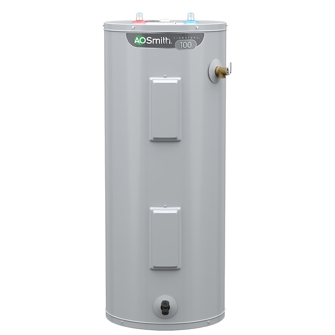 A.O. Smith Signature 100 30-Gallon Tall 6-year Warranty 4500-Watt Double Element Electric Water Heater