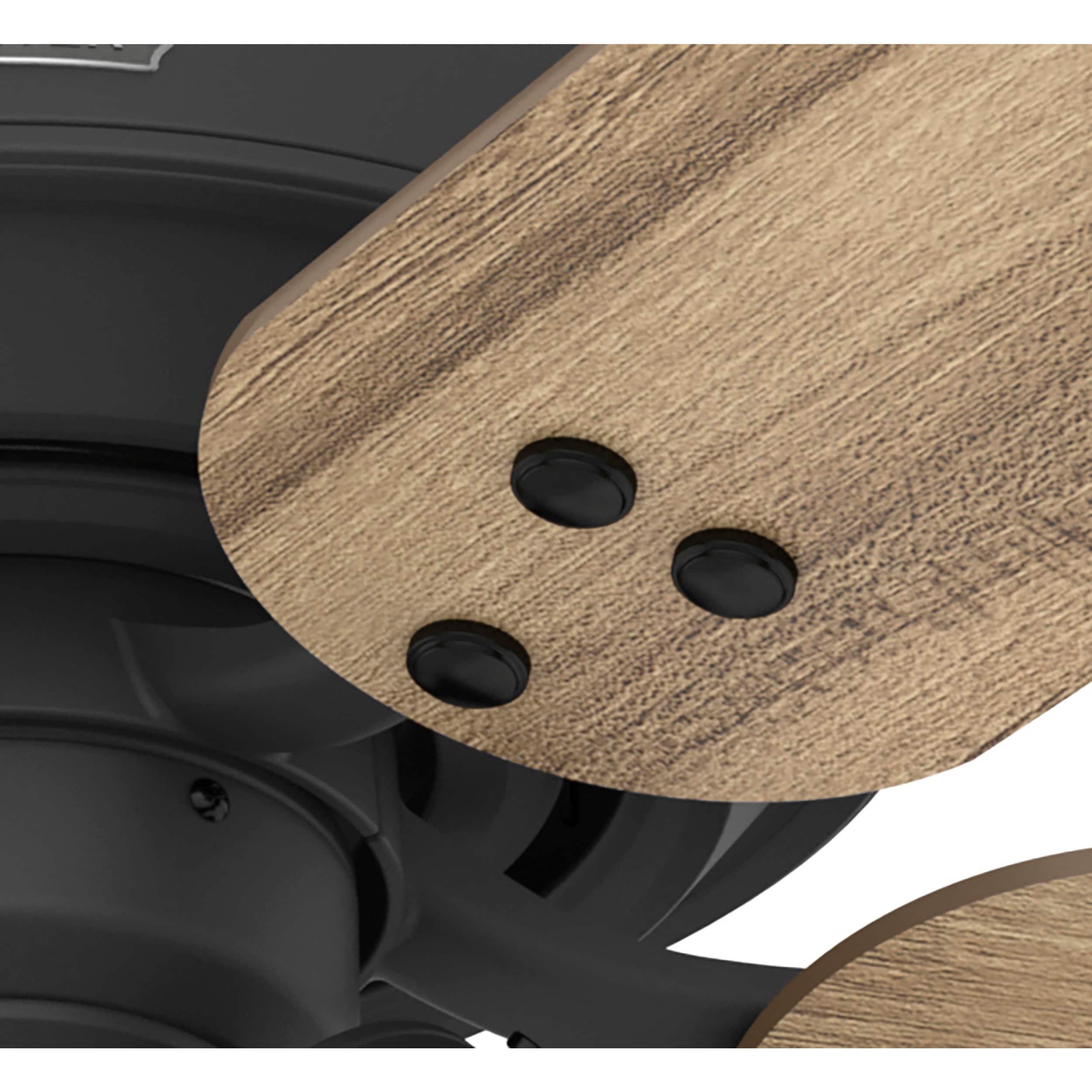 Shady Grove 52-in Matte Black with Golden Maple Blades Ceiling Fan With Light ( 5 -Blade ) - Image 12