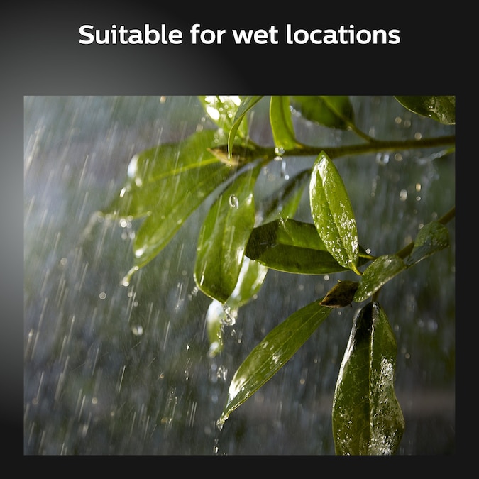 Philips Hue Discover Outdoor Black Line Voltage Hardwired Smart LED Flood Light - Image 7