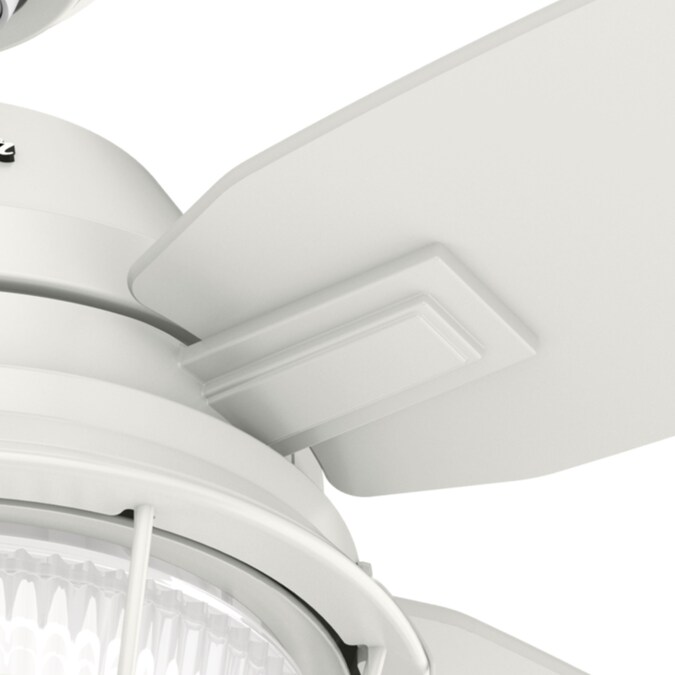 Hunter Ocala 52-in Fresh White with Washed Walnut/Fresh White Blades LED Indoor/Outdoor Ceiling Fan with Light (4-Blade) - Image 11