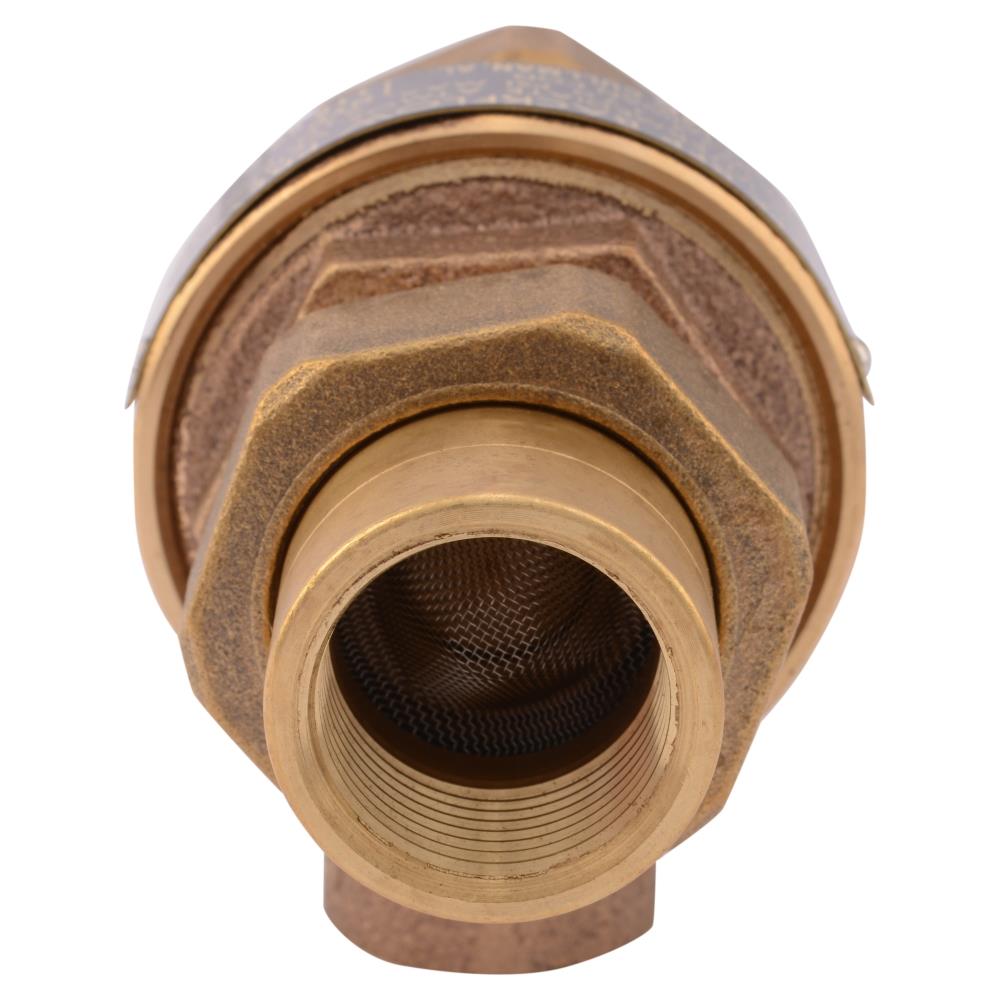 3/4-in Brass FNPT Backflow preventer - Image 2
