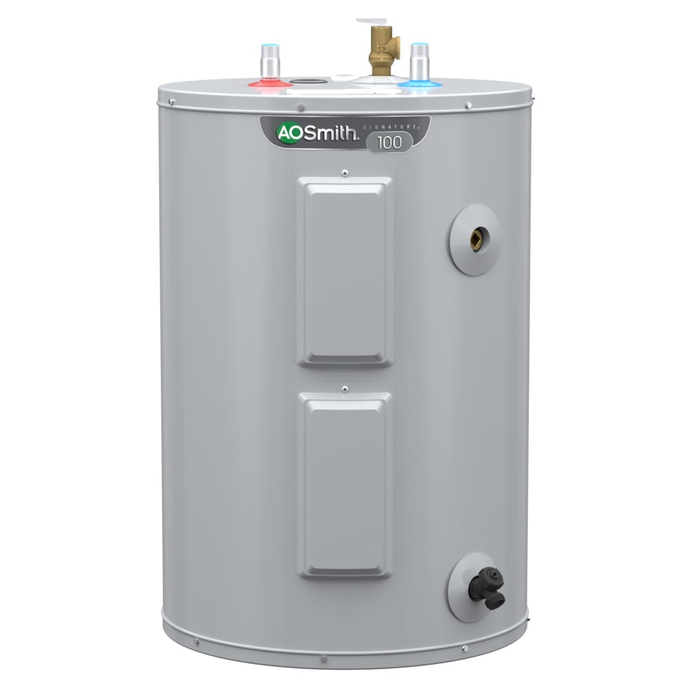 Signature 100 38-Gallons Lowboy 6-year Warranty 3800-Watt Double Element Electric Water Heater with Insulation Blanket