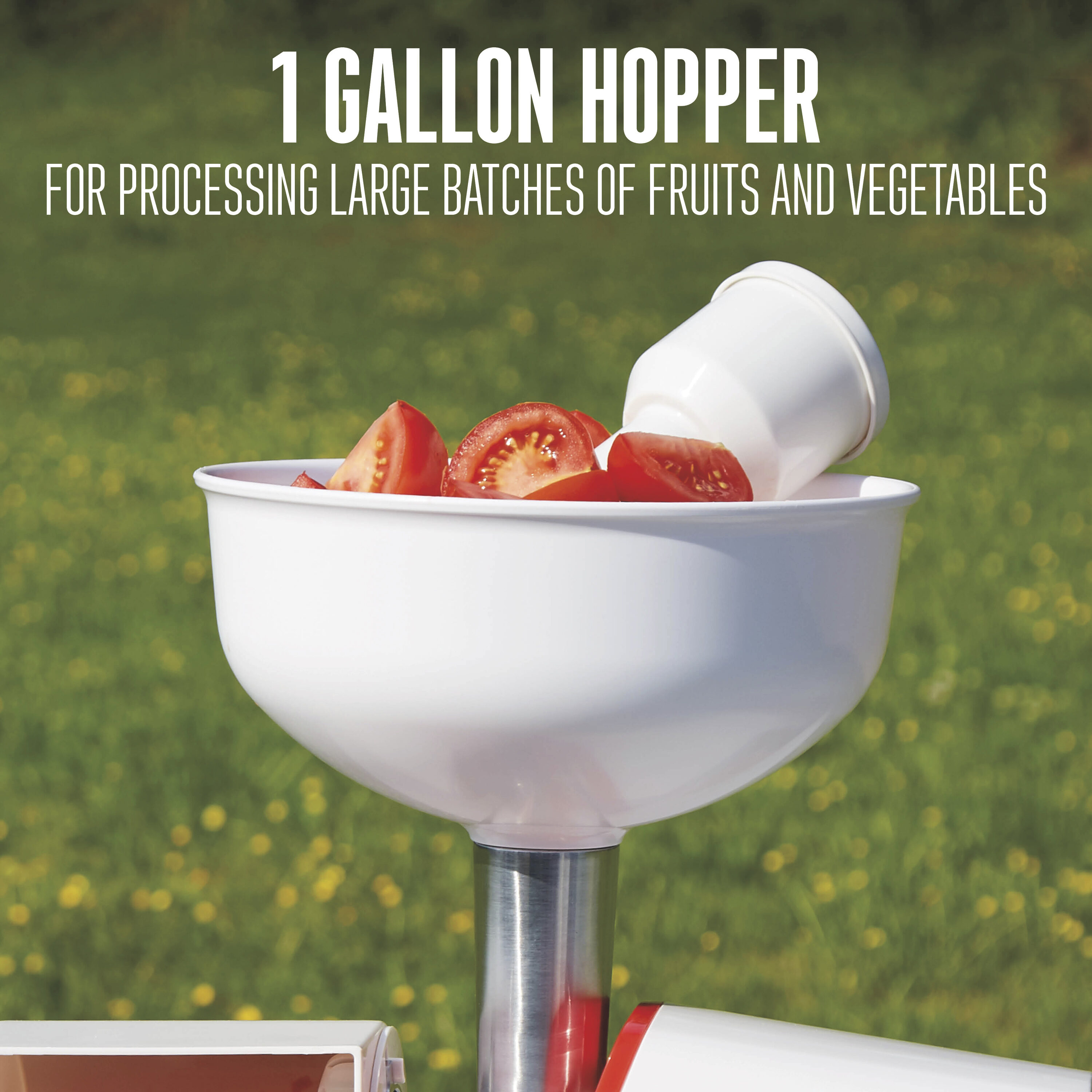 1-Cup Food processor ( White ) - Image 4