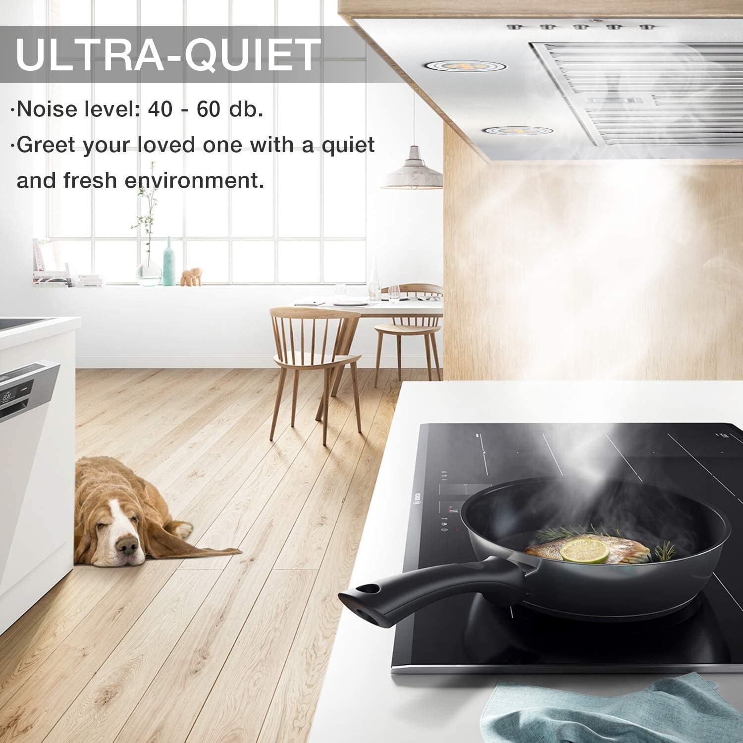 20 inch Convertible 600-CFM Brushed Stainless Steel Insert Under Cabinet Range Hood with Charcoal Filter - Image 5