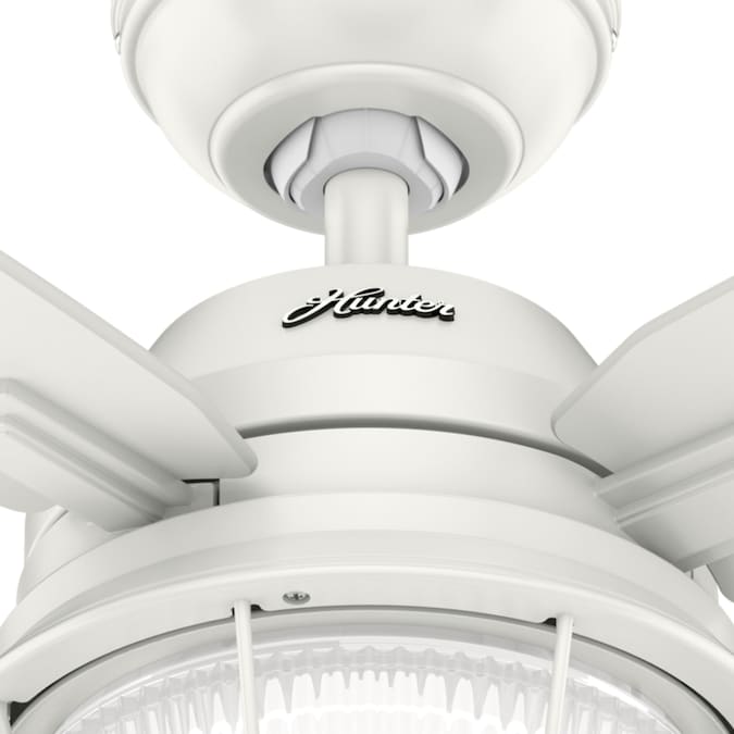Hunter Ocala 52-in Fresh White with Washed Walnut/Fresh White Blades LED Indoor/Outdoor Ceiling Fan with Light (4-Blade) - Image 13