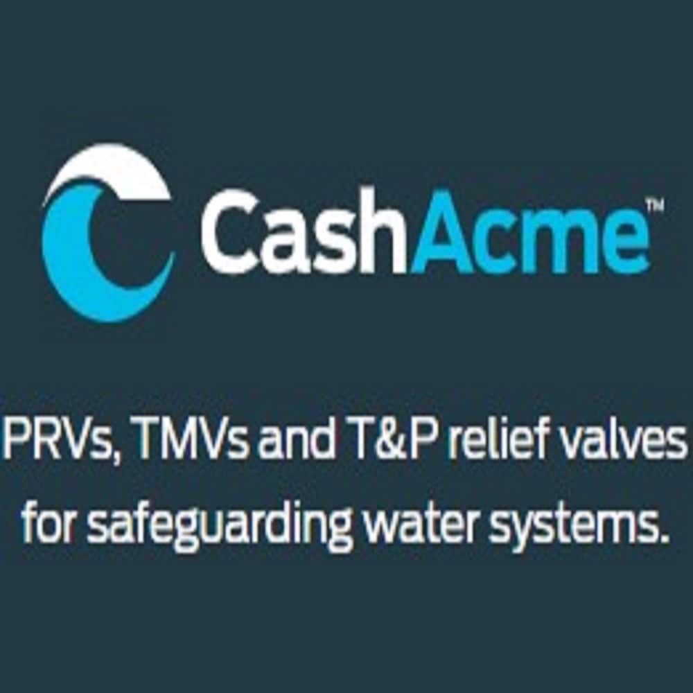 3/4-in Brass FNPT Backflow preventer - Image 5