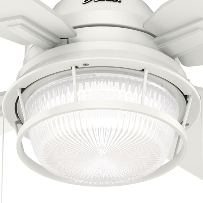 Hunter Ocala 52-in Fresh White with Washed Walnut/Fresh White Blades LED Indoor/Outdoor Ceiling Fan with Light (4-Blade) - Image 12