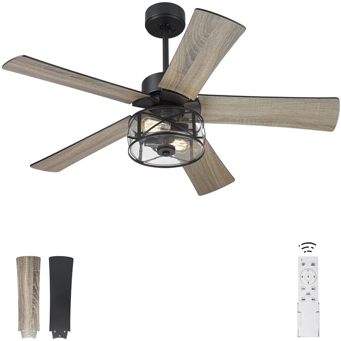 LTMATE JAZAVA 48-in Black with Barnwood Blades Indoor/Outdoor Ceiling Fan with Light and Remote (5-Blade)