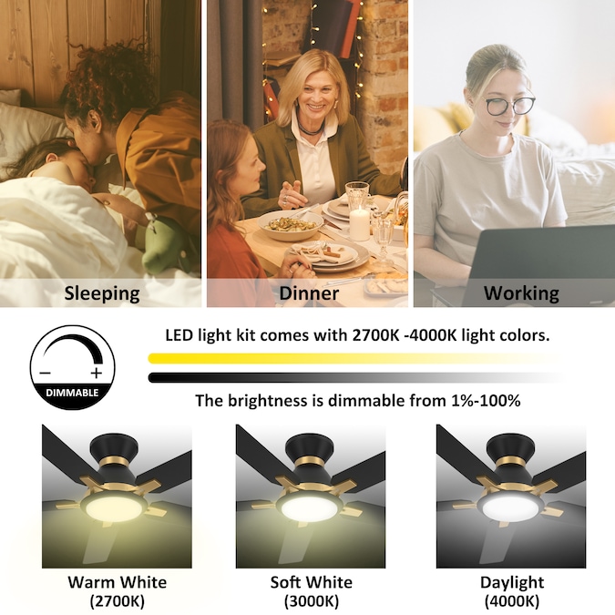 CARRO USA Essex 52-in Black Indoor/Outdoor Flush Mount Smart Ceiling Fan with Light and Remote (5-Blade) - Image 7