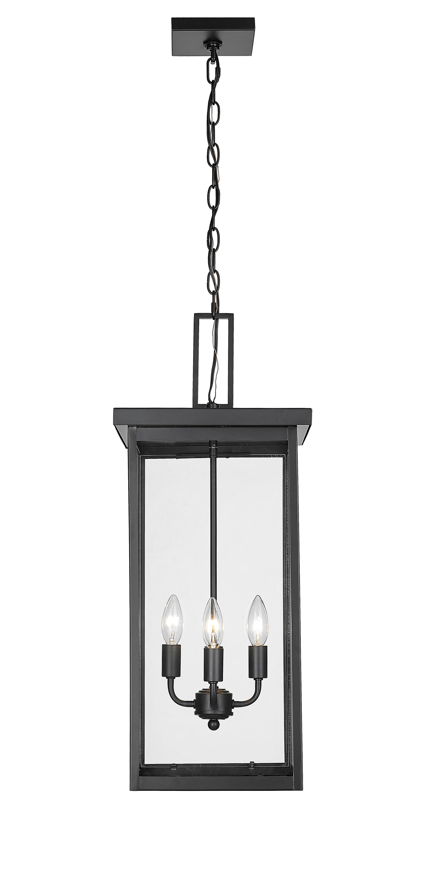 Barkeley 4 -Light Powder Coated Black Modern/contemporary Clear glass Lantern Medium Outdoor Hanging Pendant light