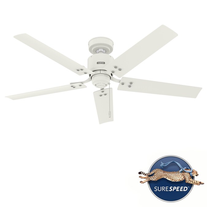 Hunter Windbound 52-in Matte White Indoor/Outdoor Ceiling Fan (5-Blade)