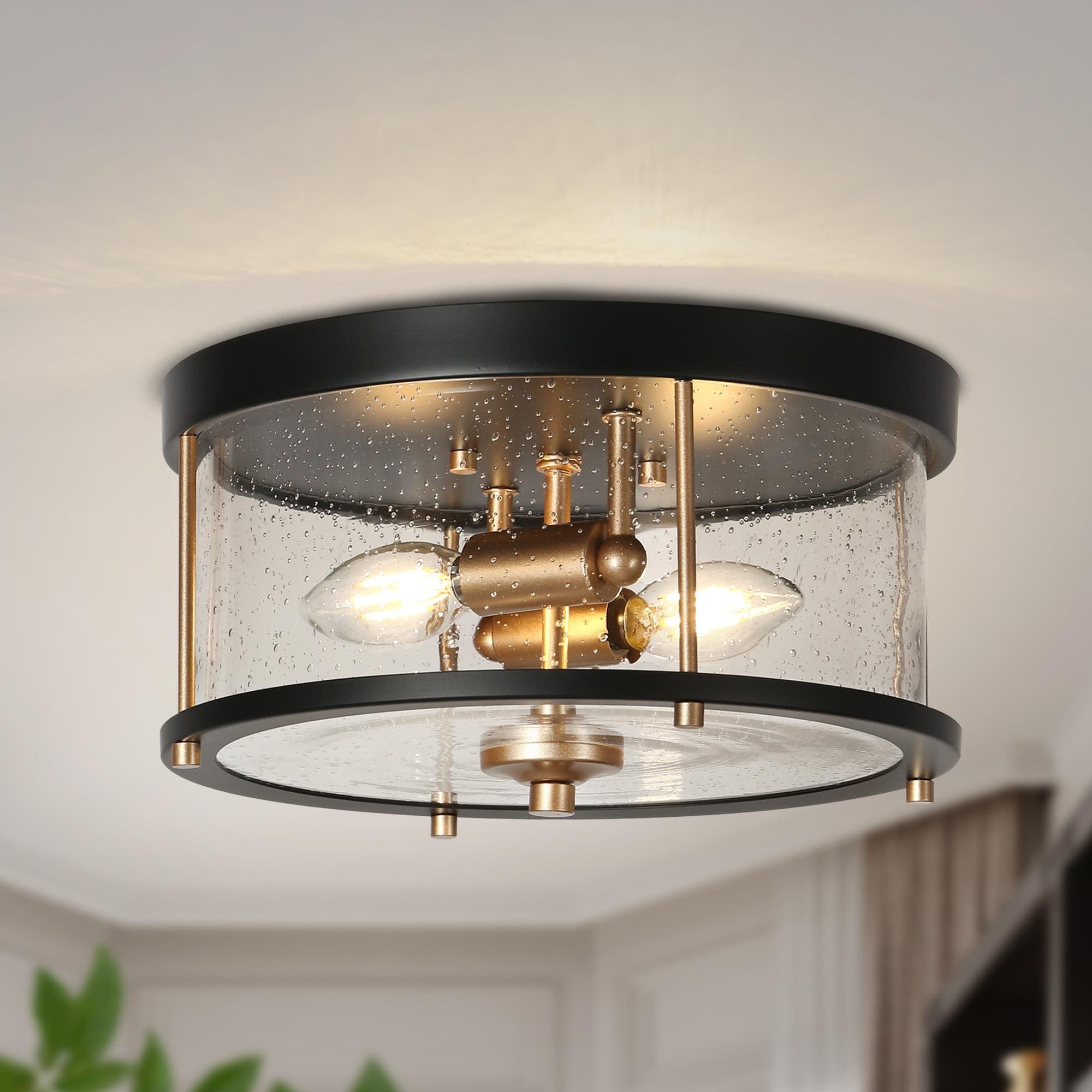 Gudgeonmoni 2 -Light 11-in Matte Black Flush Mount Light