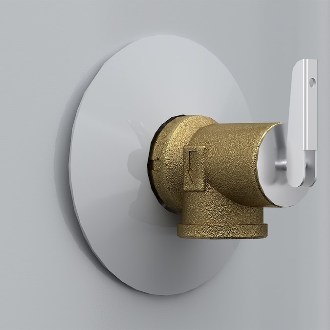 A.O. Smith Signature 100 30-Gallon Short 6-year Warranty 4500-Watt Double Element Electric Water Heater - Image 8