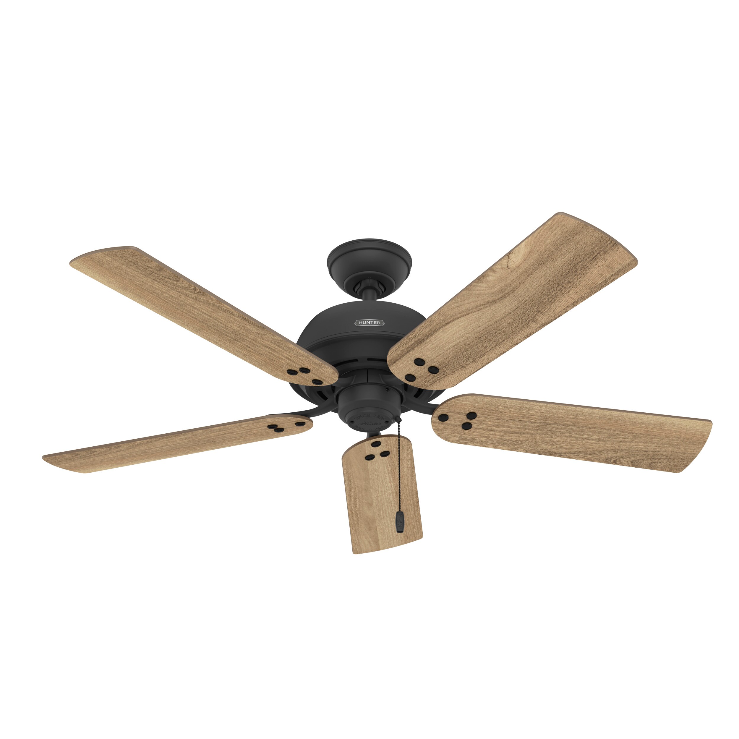 Shady Grove 52-in Matte Black with Golden Maple Blades Ceiling Fan With Light ( 5 -Blade ) - Image 15