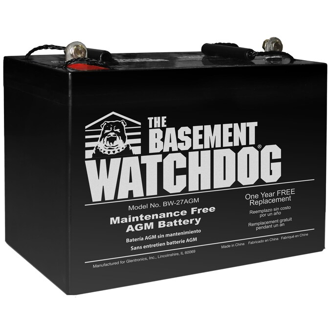 Basement Watchdog Plastic/Battery Fluid Battery