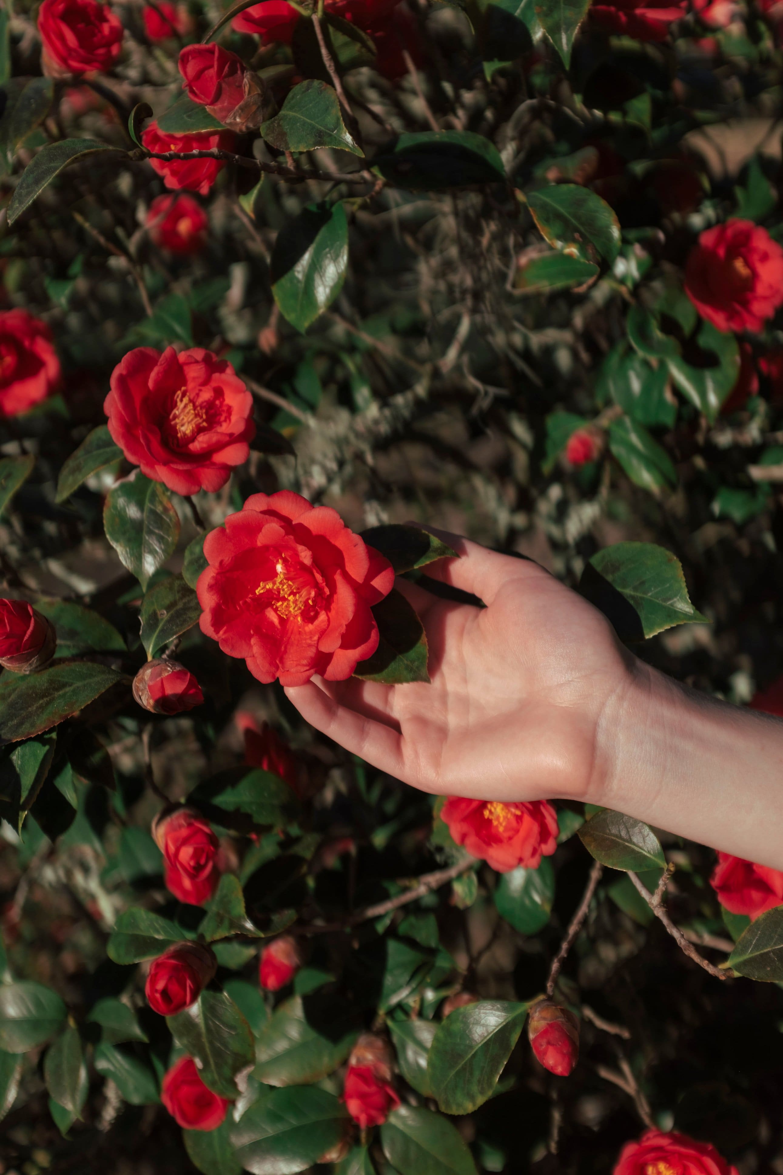 Polaroid - Hi-Print 2x3 Pocket Generation 2 Photo Printer - White - Image 4