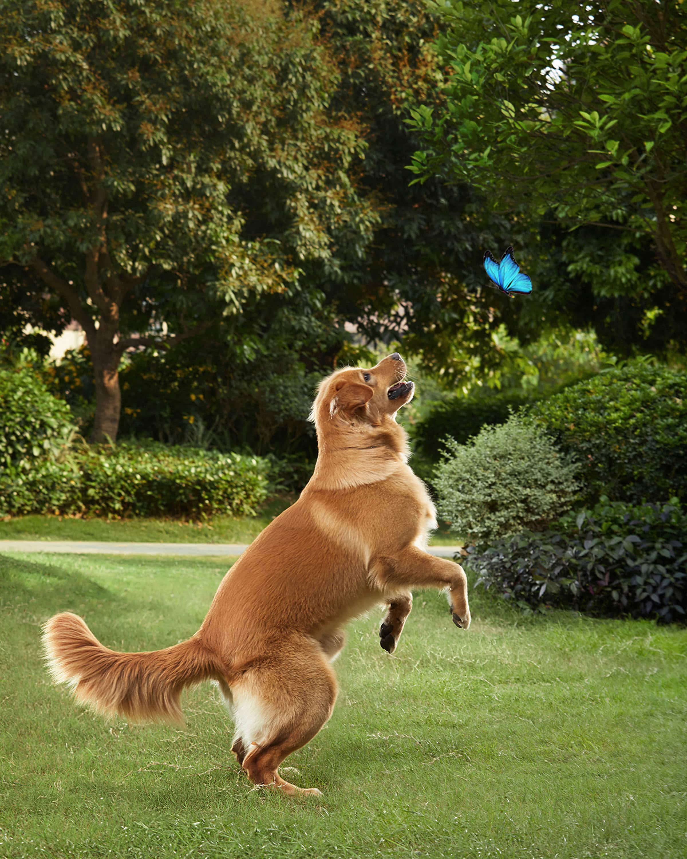 eufy - SoloCam S40 Outdoor Wireless 2K Solar Spotlight Camera - White - Image 2