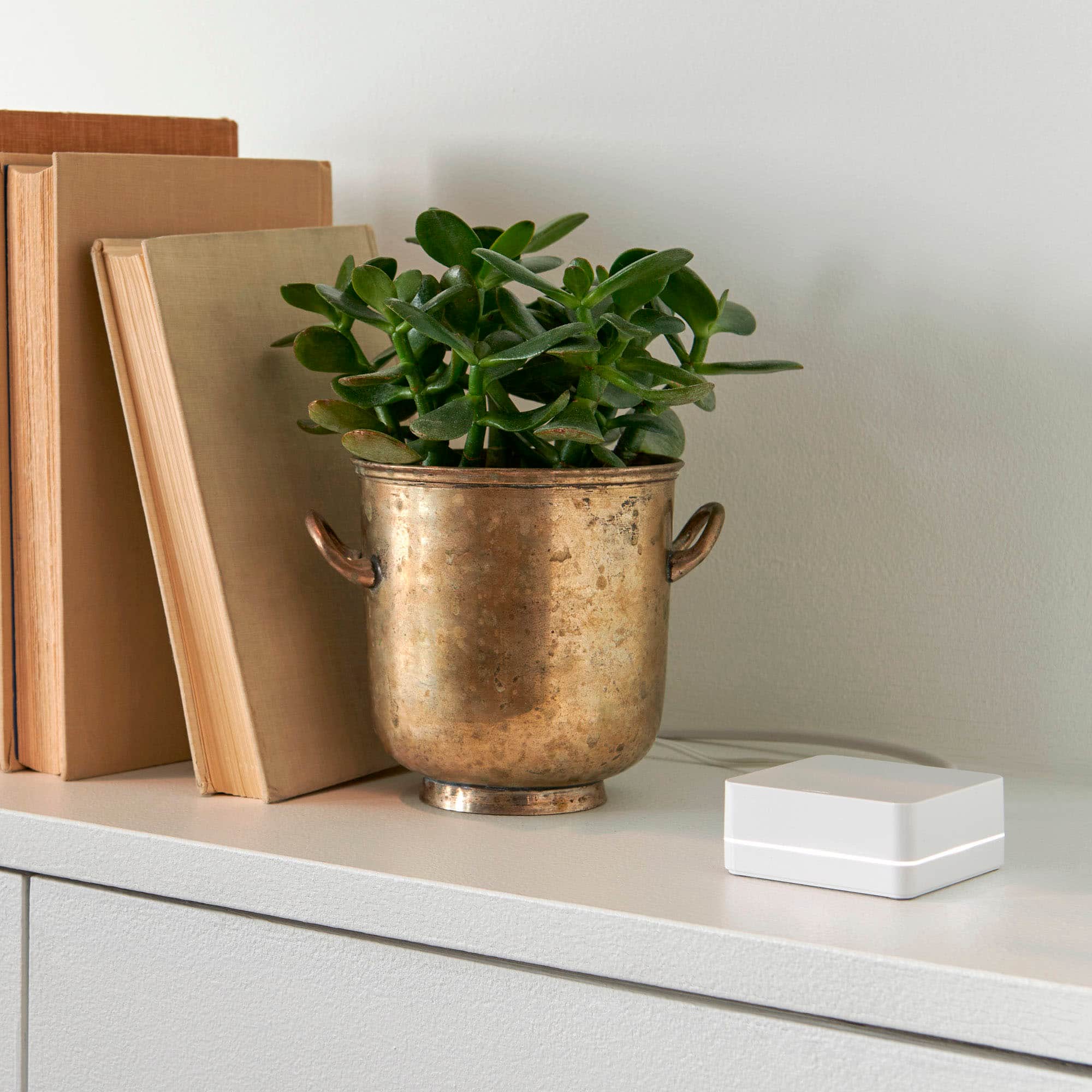 Lutron - Diva Smart Dimmer Switch - White - Image 3